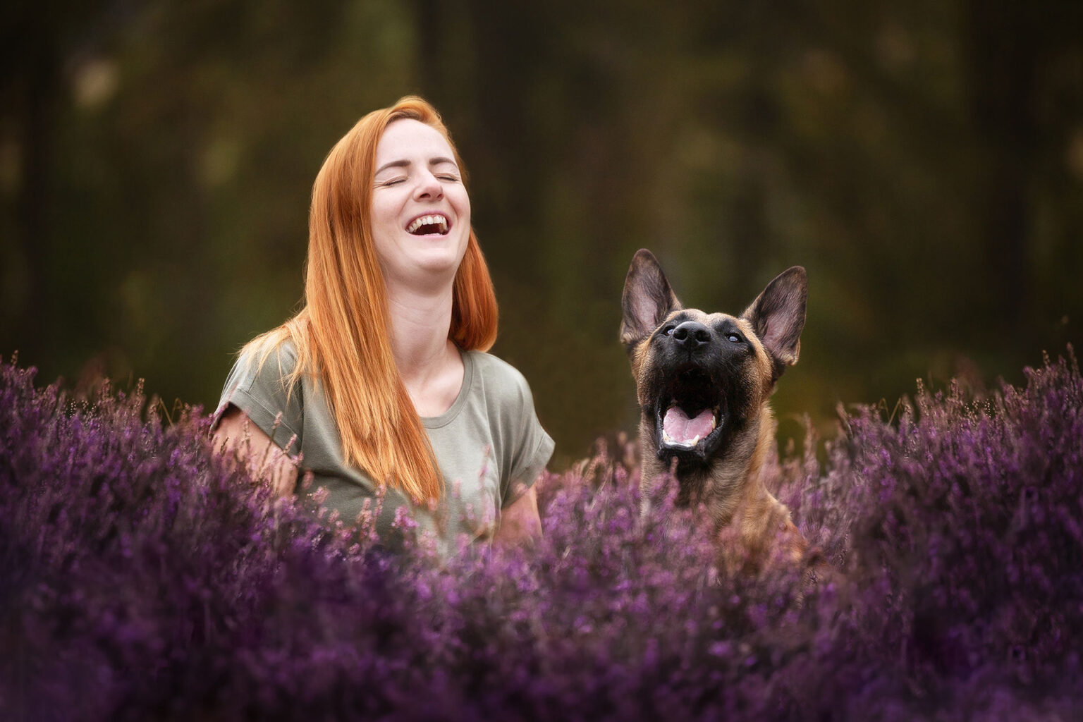 Hundefotografie im Odenwald, Fürth, Heppenheim, Bensheim, Frankfurt, Mannheim, Heidelberg, Erbach, Michelstadt, Reichelsheim, Mörlenbach, Rimbach, Viernheim, Darmstadt, Lorsch