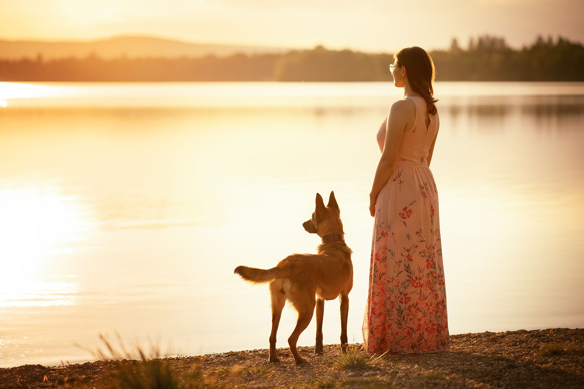 Vanessa, Eclipse, Luna & Henry