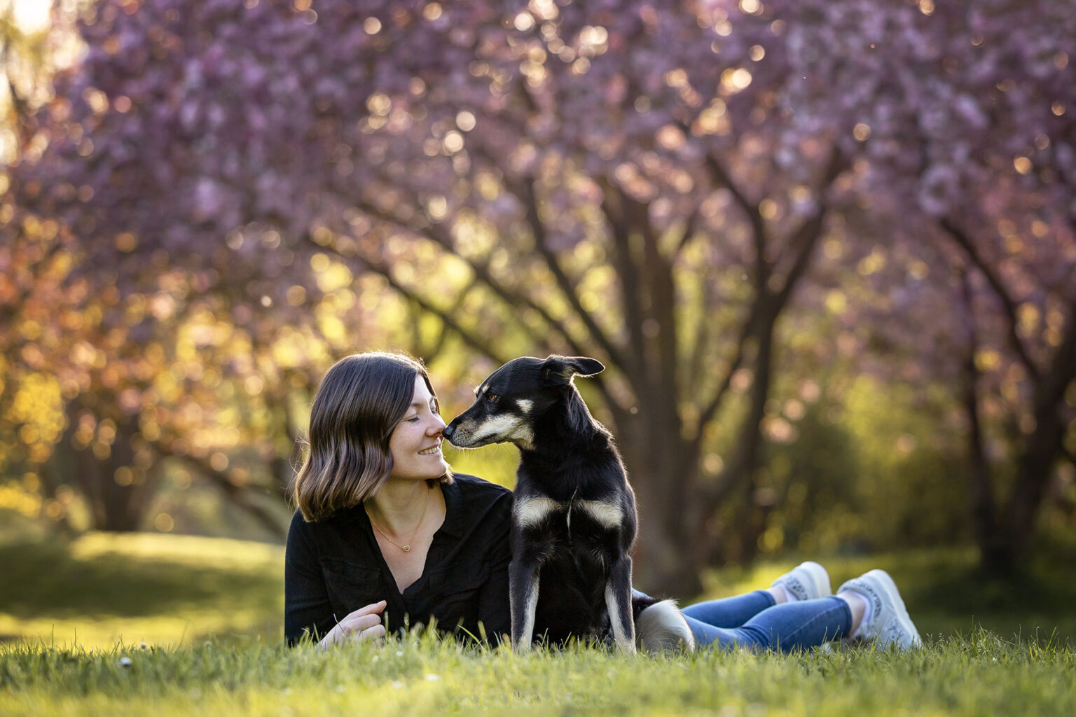 Hundefotografie im Odenwald, Fürth, Heppenheim, Bensheim, Frankfurt, Mannheim, Heidelberg, Erbach, Michelstadt, Reichelsheim, Mörlenbach, Rimbach, Viernheim, Darmstadt, Lorsch