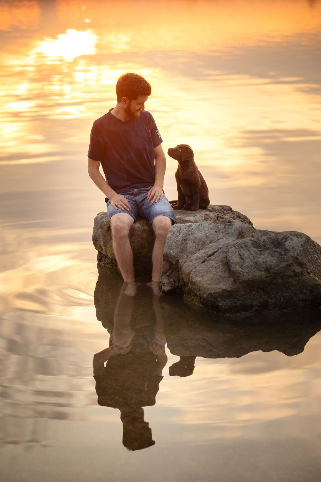 Hundefotografie im Odenwald, Fürth, Heppenheim, Bensheim, Frankfurt, Mannheim, Heidelberg, Erbach, Michelstadt, Reichelsheim, Mörlenbach, Rimbach, Viernheim, Darmstadt, Lorsch