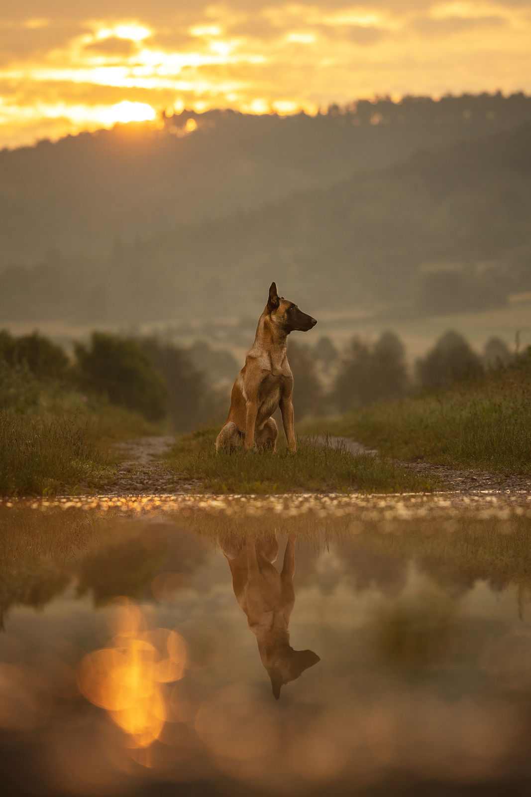 Anne, Michael & Rocket