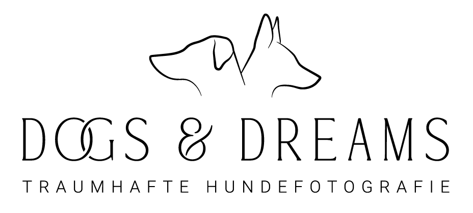 Hundefotografie im Odenwald, Fürth, Heppenheim, Bensheim, Frankfurt, Mannheim, Heidelberg, Erbach, Michelstadt, Reichelsheim, Mörlenbach, Rimbach, Viernheim, Darmstadt, Lorsch