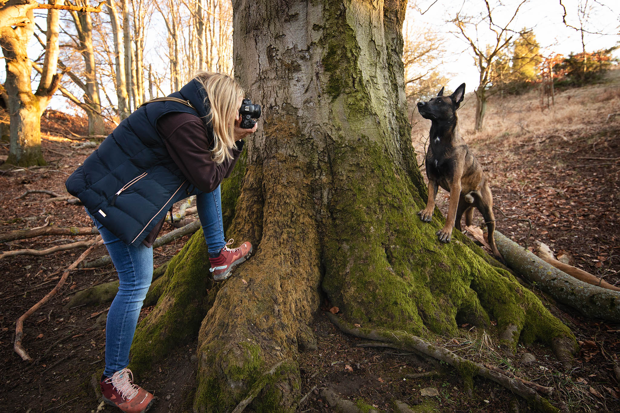 Meine Fotoausrüstung