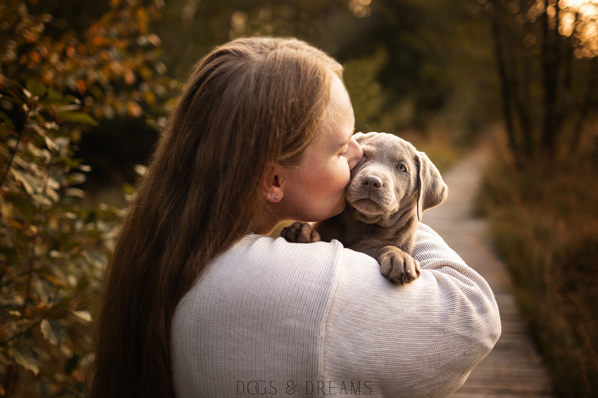 Labradorwelpe auf dem Arm seiner Besitzerin