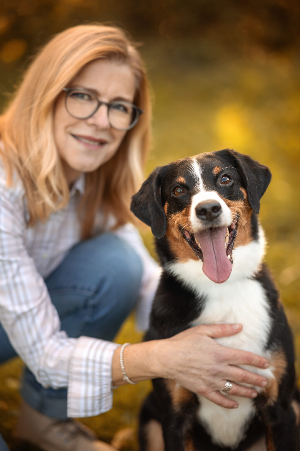 Hundefotografie im Odenwald, Fürth, Heppenheim, Bensheim, Frankfurt, Mannheim, Heidelberg, Erbach, Michelstadt, Reichelsheim, Mörlenbach, Rimbach, Viernheim, Darmstadt, Lorsch