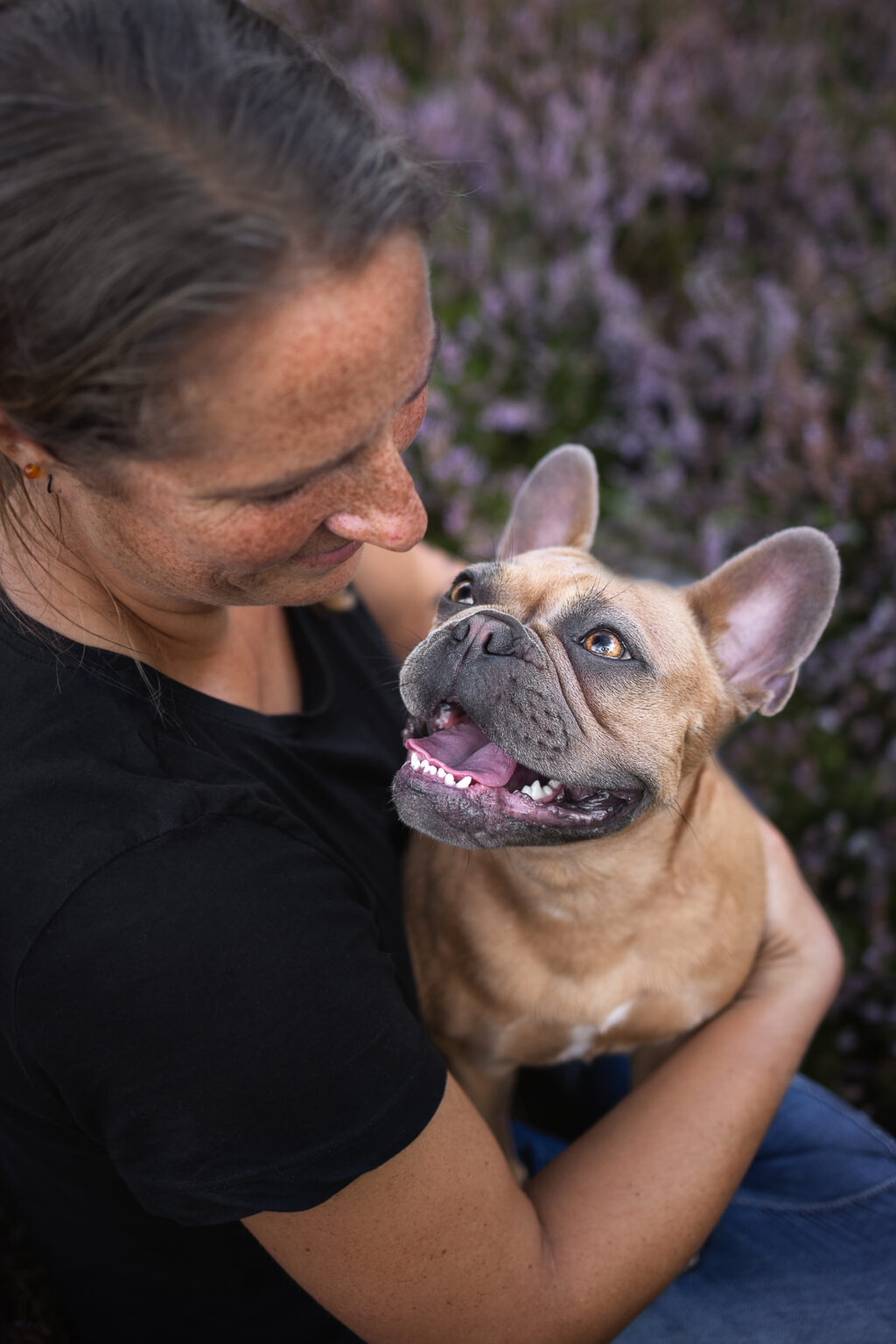 Hundefotografie im Odenwald, Fürth, Heppenheim, Bensheim, Frankfurt, Mannheim, Heidelberg, Erbach, Michelstadt, Reichelsheim, Mörlenbach, Rimbach, Viernheim, Darmstadt, Lorsch