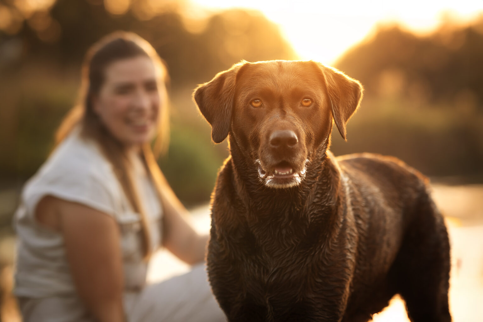 Hundefotografie im Odenwald, Fürth, Heppenheim, Bensheim, Frankfurt, Mannheim, Heidelberg, Erbach, Michelstadt, Reichelsheim, Mörlenbach, Rimbach, Viernheim, Darmstadt, Lorsch