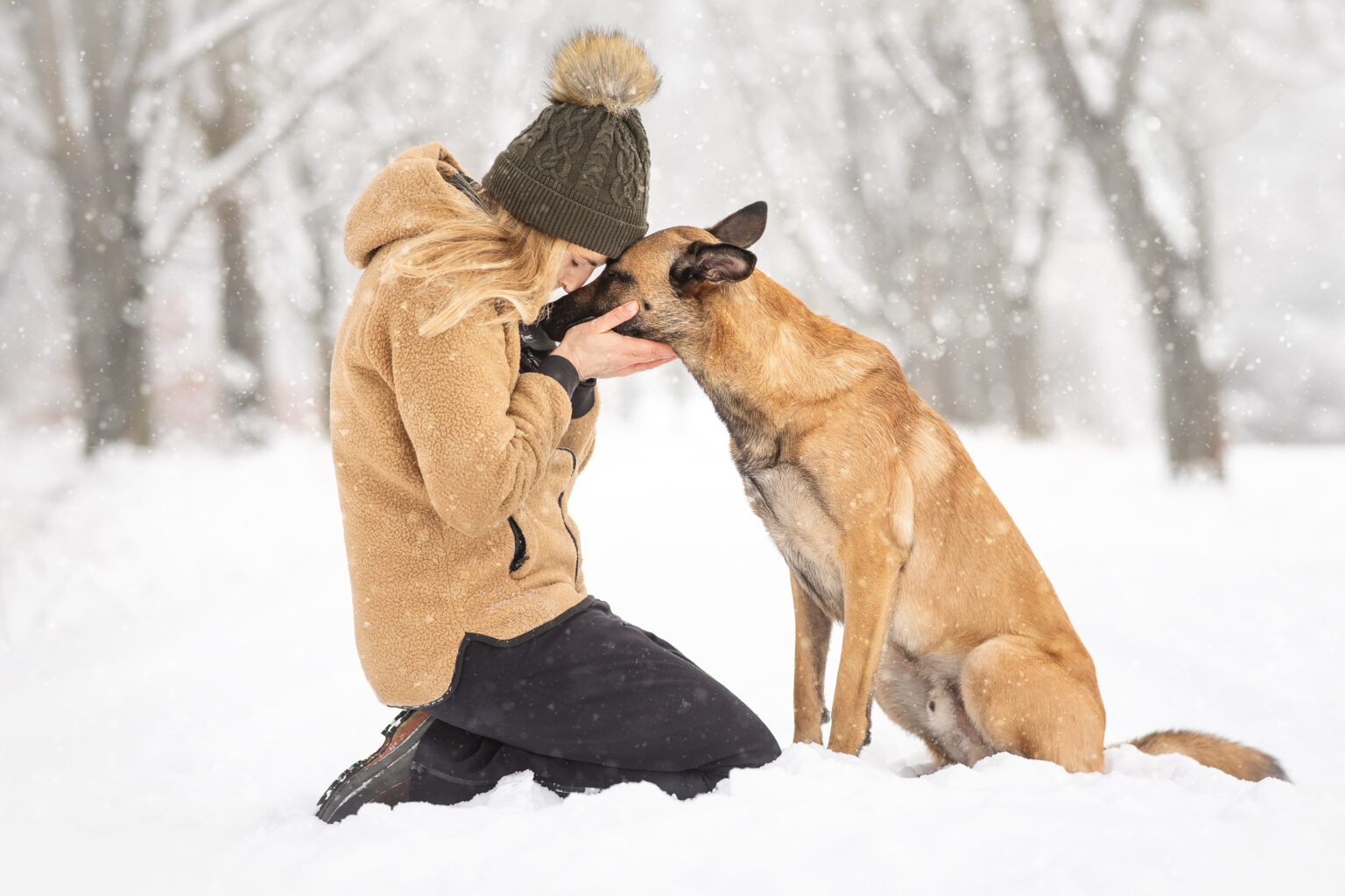 Hundefotografie im Odenwald, Fürth, Heppenheim, Bensheim, Frankfurt, Mannheim, Heidelberg, Erbach, Michelstadt, Reichelsheim, Mörlenbach, Rimbach, Viernheim, Darmstadt, Lorsch