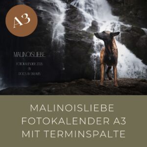 Malinoisliebe Fotokalender A3 mit Terminspalte